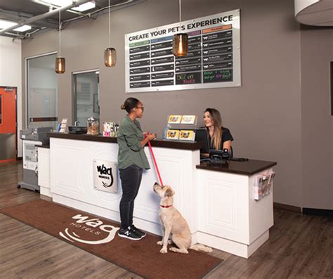 wag hotels hollywood|dog hotel los angeles price.